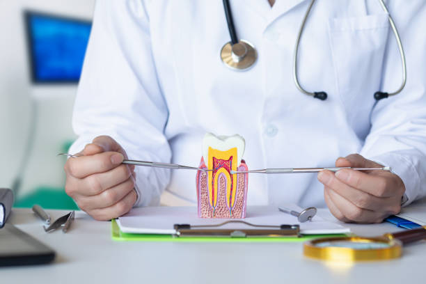 Best Knocked-Out Tooth Emergency  in West Bend, WI